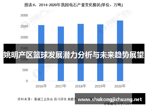 姚明产区篮球发展潜力分析与未来趋势展望
